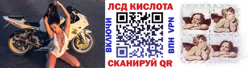 Марки N-bome 1500мкг  где можно купить   Петровск-Забайкальский 